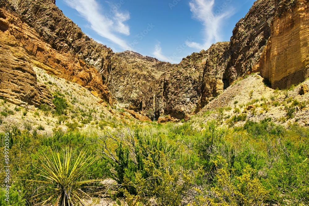 Under a partly cloudy blue sky in Springtime, a hiking passes through green desert shrubs and cactus on its way toward a mountain canyon at Big Bend National Park in Brewster County, TX.