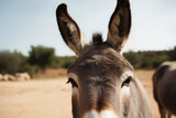 Frontal view of a donkey head. Close-up. Generative AI