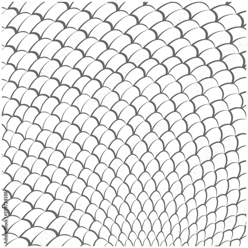 snake scales background vector