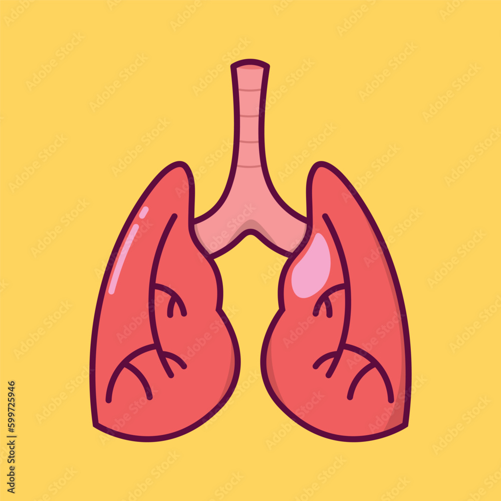 Human Organs Cartoon Vector Education Human Organs Cartoon Vector Education