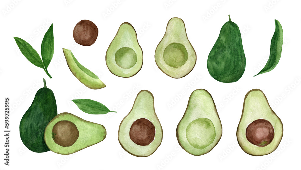 Set of watercolor avocado. Hand drawn tropical illustration. Set of watercolor avocado. Hand drawn tropical illustration.