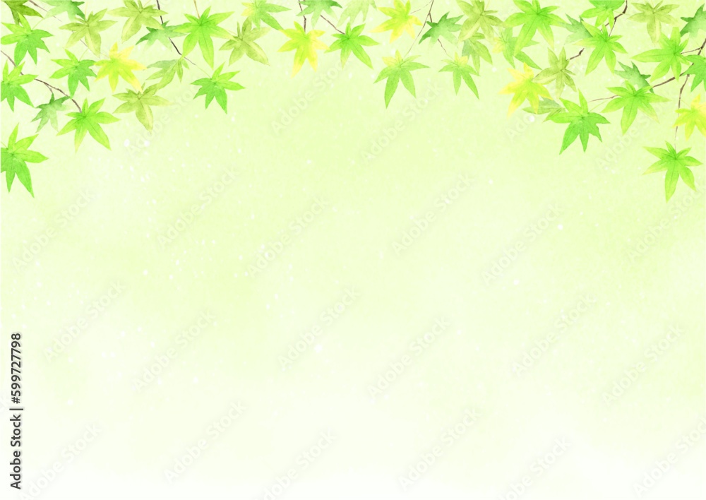 水彩で描いた青もみじの背景