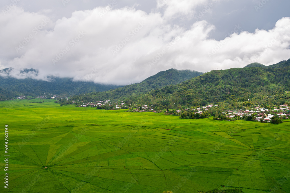 panoramic view of spider rice terrace field in ruteng, indonesia
