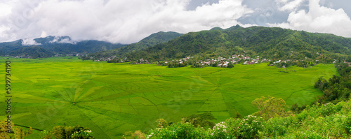 panoramic view of spider rice terrace field in ruteng, indonesia photo