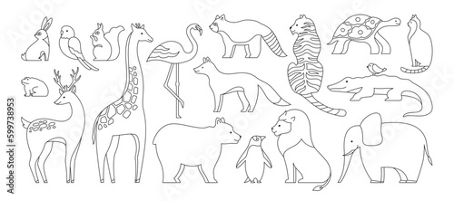 Fototapeta Naklejka Na Ścianę i Meble -  Animal cute doodle linear set. Hare and parrot, squirrel, frog, giraffe. Panda and bear penguin. Mammals animals characters for baby card. Deer cat turtle fox lion tiger outline design collection