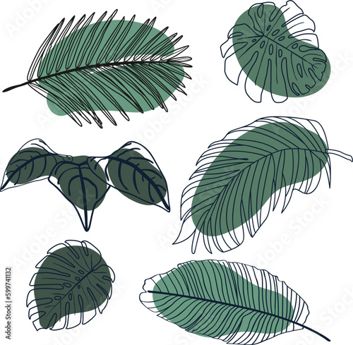 Tropical leaves in a Boho Bohemian style vector illustration. 