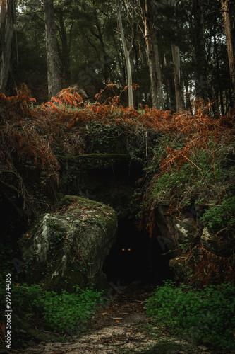 the entrance of a cave in the woods