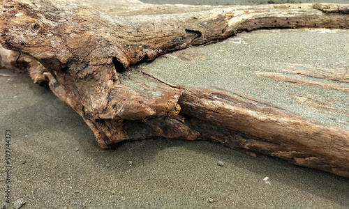 A piece of porous wood. Brittle piece of wood decayed by woodworms. Selective focus.
