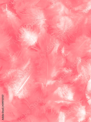 Beautiful abstract gray and pink feathers on white background, white feather frame texture on pink pattern and pink background, love theme wallpaper and valentines day