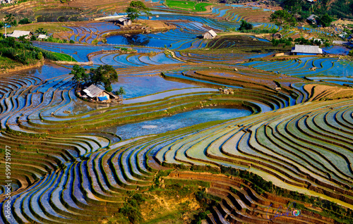 Wallpaper Mural Rice Terraces in Vietnam Torontodigital.ca