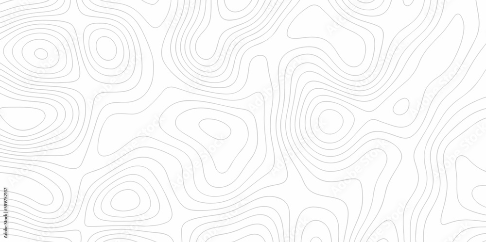 Abstract pattern with lines White wave paper curved reliefs abstract background, Abstract topographic contours map background. topographic wavy pattern design.paper texture Imitation of a geographical