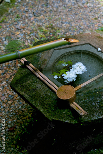 花を浮かべた水琴窟 photo