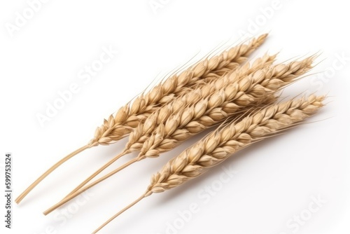 three golden wheat stalks on a plain white background Generative AI