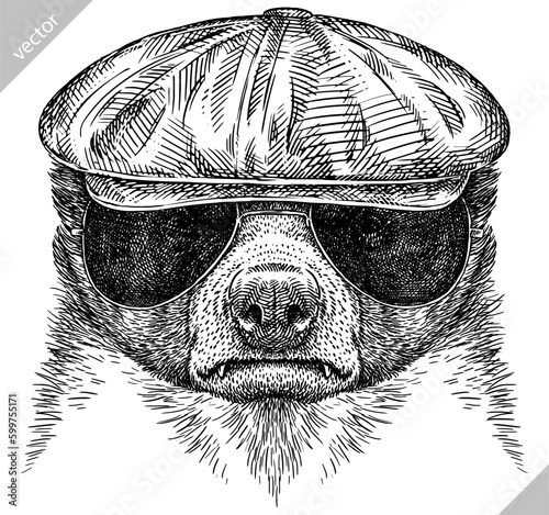 Vintage engraving isolated honey badger set glasses dressed fashion illustration ink costume sketch. Ratel background tropical animal silhouette sunglasses hipster hat art. Hand drawn vector image.