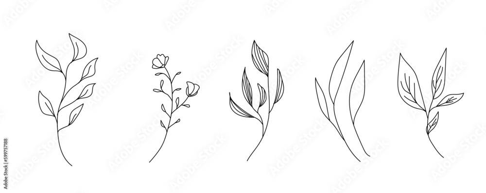 Hand drawn thin floral botanical line art. Trendy minimal elements of wild and garden plants, branches, leaves, flowers, herbs. Vector illustration for logo or tattoo, invitation save the date card 