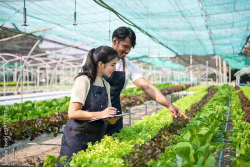  Asian woman and  man farmer working together in organic hydroponic salad vegetable farm. using tablet inspect quality of lettuce in greenhouse garden.
