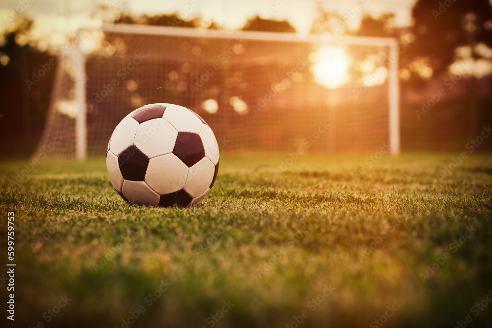Obraz premium soccer ball on the field