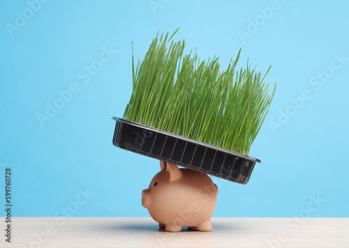 Piggy bank and Green grass in pot on table, blue background photo