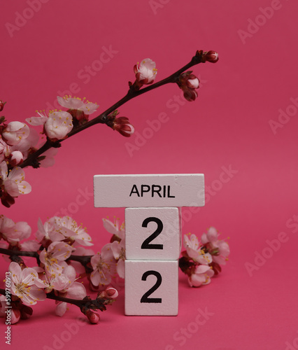 Wooden block calendar with date april 22 and peach blossom branch on pink background. spring time, planning, holiday © splitov27
