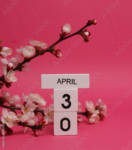 Wooden block calendar with date april 30 and peach blossom branch on pink background. spring time, planning, holiday © splitov27