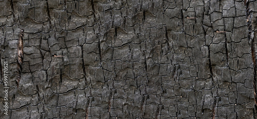 Burned wood texture. Black background, Details on the surface of charcoal, burnt wood texture, Grunge, burning fire, Dark material.