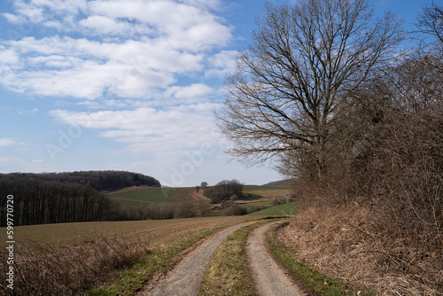 Dirt road in the countryside with agricultural fields, trees and a blue sky with clouds in spring
