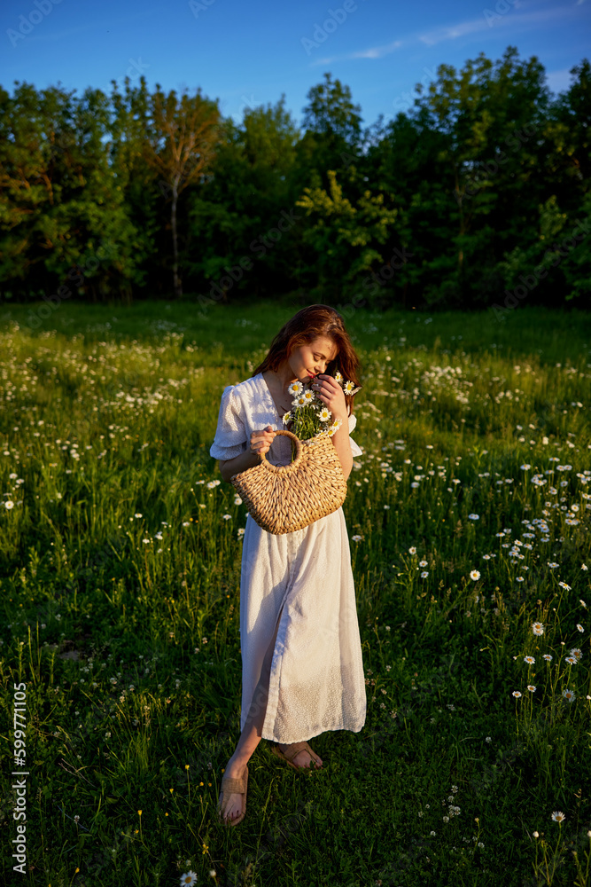 a beautiful, happy woman in a light dress stands in a chamomile field in the rays of the setting sun a beautiful, happy woman in a light dress stands in a chamomile field in the rays of the setting sun