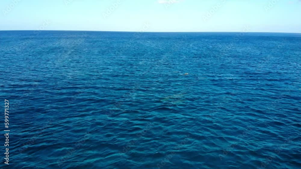 Aerial: Drone Shot Of Dolphins Seen In Wavy Blue Sea Against Sky - Oahu, Hawaii Aerial: Drone Shot Of Dolphins Seen In Wavy Blue Sea Against Sky - Oahu, Hawaii