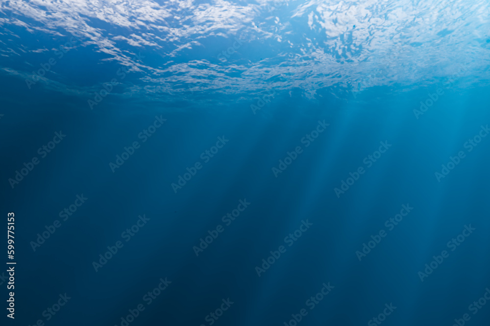 Obraz premium Underwater background. Abstract underwater backgrounds for your design. blue deep see underwater background. Tranquil underwater scene with copy space