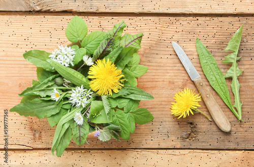 Wildkräutersalat Salat Wildkräuter essbare Blüten Blüte Blatt Kräuter  photo