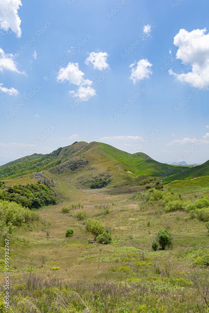 Naklejka premium 北九州国定公園平尾台 広谷湿原 福岡県京都郡苅田町