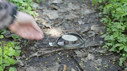 A male hunter sets up a metal trap on a forest path and camouflages it by covering it with dry leaves. A trap for a small animal, a hare or a fox.