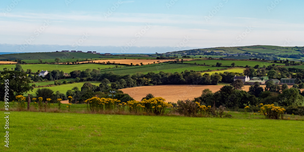 Green farm fields and hills in the evening in Ireland. Irish rural landscape, agricultural land. Green field near green trees