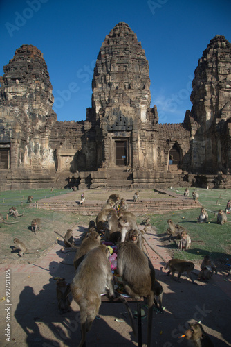 The monkeys enjoy eating local fruits ,vegetables, salad, eggs, dessert which bring people to thank in Monkey party Phra Prang Sam Yot temple, Lopburi Province in Middle of Thailand.