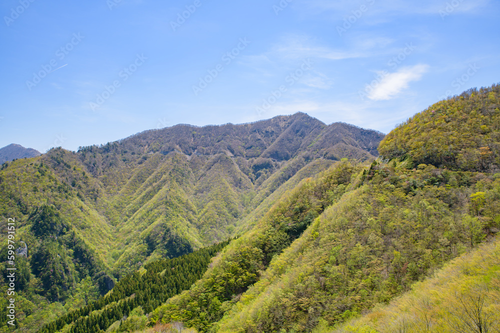 Obraz premium 山々