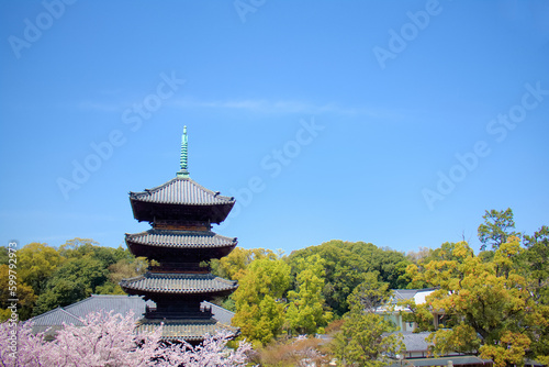 [愛知県]名古屋市の八事山興正寺と桜