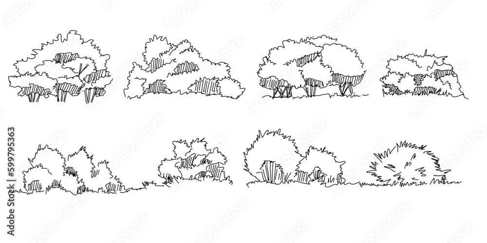Set of hand drawn architect trees. Tree Sketch Architectural illustration landscape