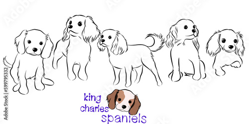Cute King charles spaniel dog doodle. Collection in different poses in free hand drawing vector illustration style on white background.