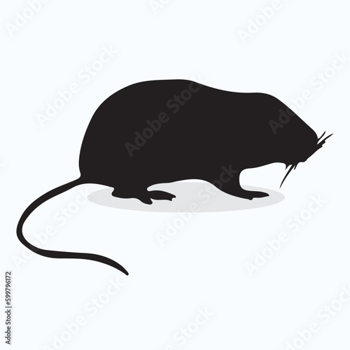 Water Vole silhouettes and icons. Black flat color simple elegant Water Vole animal vector and illustration.