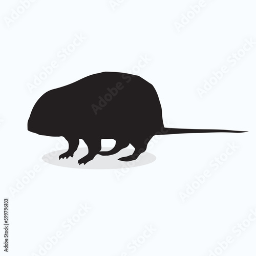 Water Vole silhouettes and icons. Black flat color simple elegant Water Vole animal vector and illustration.