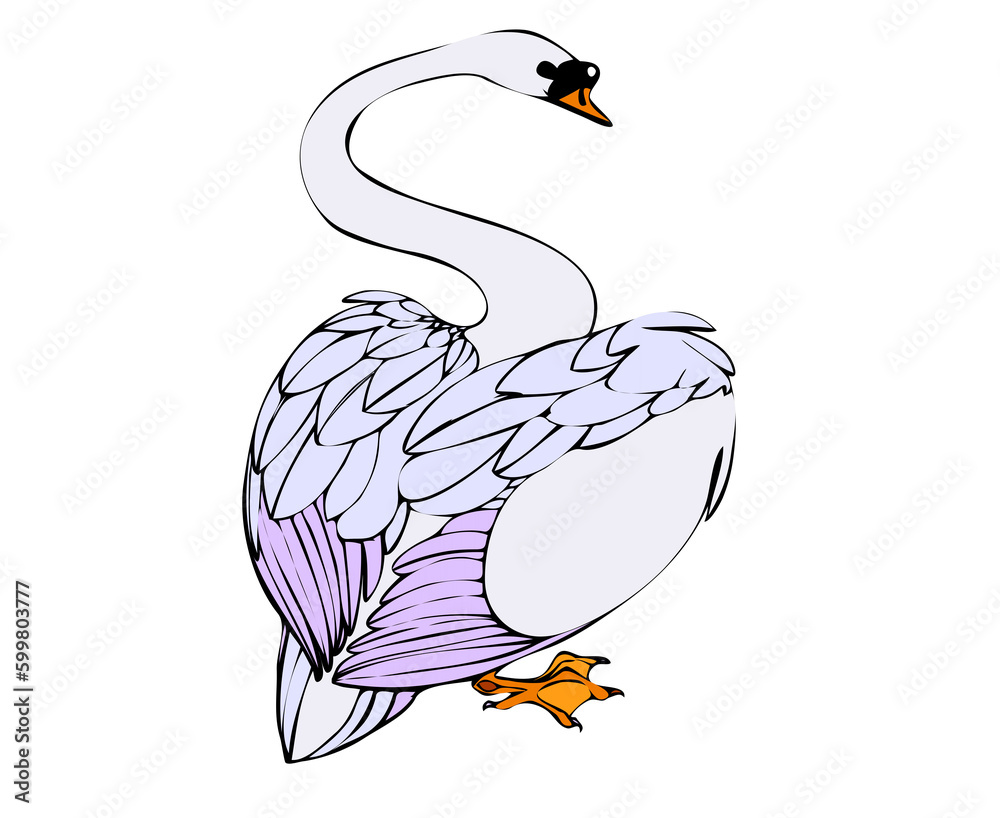 Obraz premium Swan bird drawing 