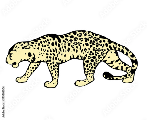 Crowched jaguar vector  photo