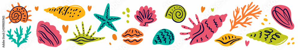Vector collection of hand-drawn seashells in doodle style