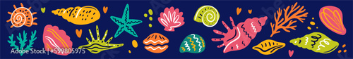 Vector collection of hand-drawn seashells in doodle style