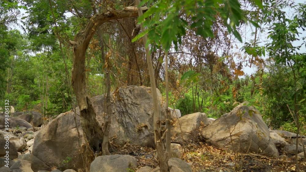Waterfall in the jungle. Ninh Thuan Province in Vietnam. Not far from the city of Fanrang, the administrative center of the province. Waterfall in the jungle. Ninh Thuan Province in Vietnam. Not far from the city of Fanrang, the administrative center of the province.