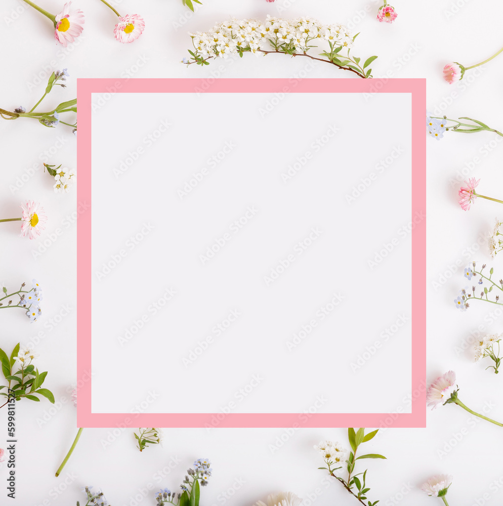Pink flowers frame on white background, , composition on white background.