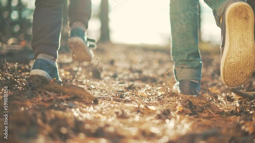 Wallpaper Mural Children walk jogging in forest in nature.Active happy family travels on nature in park. Family picnic outdoors. Summer vacation, wind freedom in forest. Children walk in forest. Healthy lifestyle Torontodigital.ca