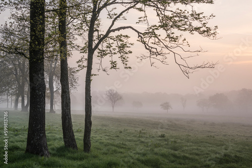 Lovely foggy sunrise in English countryside with soft pastel sky and calm feeling