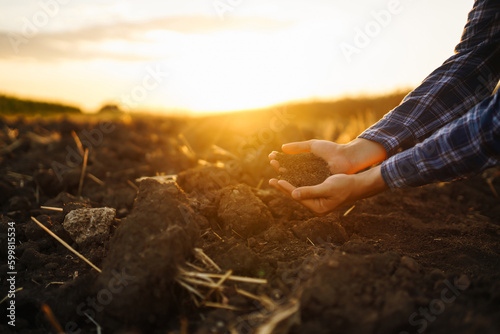 Hand of farmer collect soil and checking soil health before growth a seed of vegetable or plant seedling. Harvesting. Agribusiness. Gardening concept.