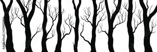Silhouettes of trees, tree trunks and branches isolated on white background, natural background, banner